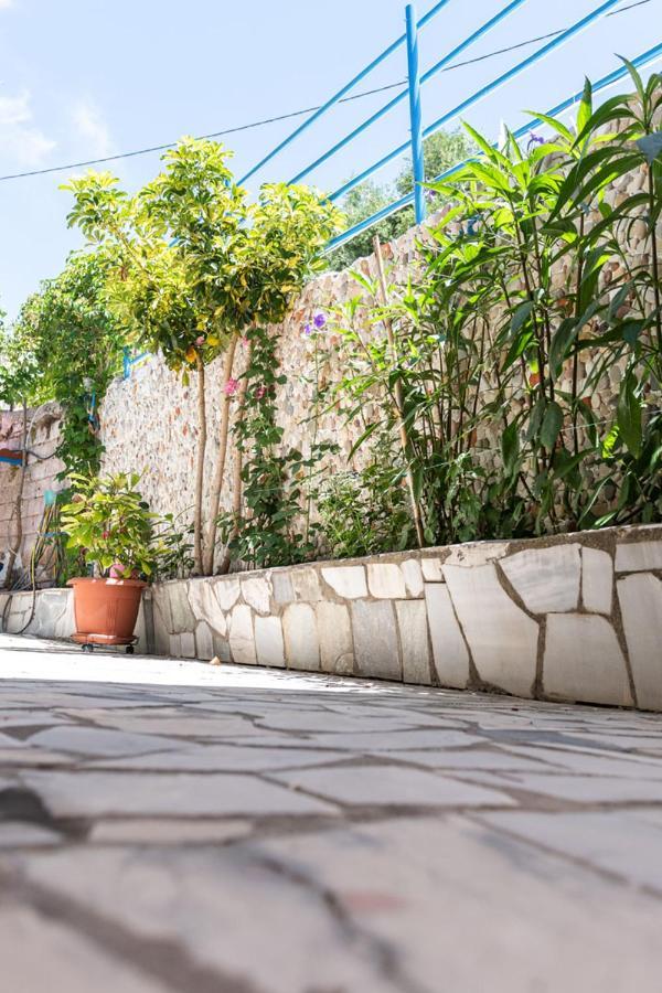 Olive Tree Villa Лигия Экстерьер фото
