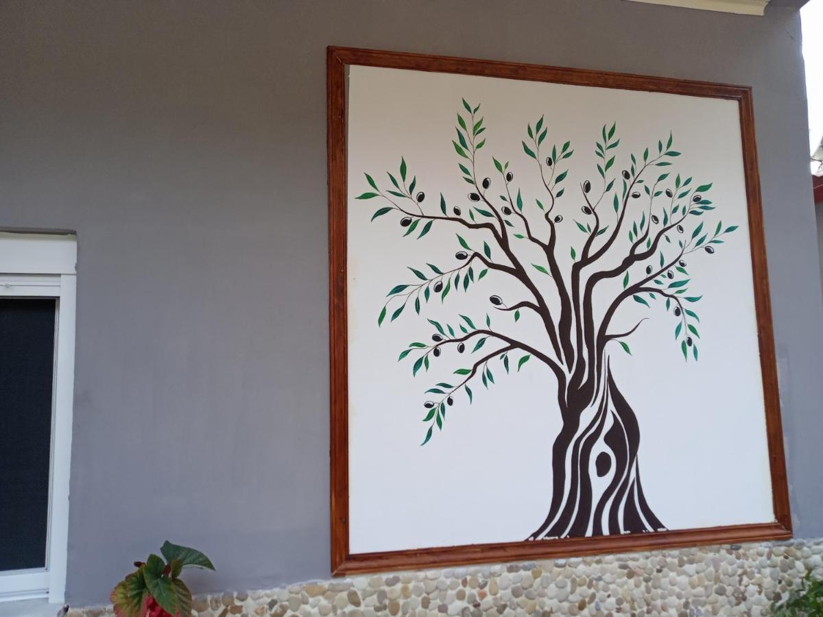 Olive Tree Villa Лигия Экстерьер фото